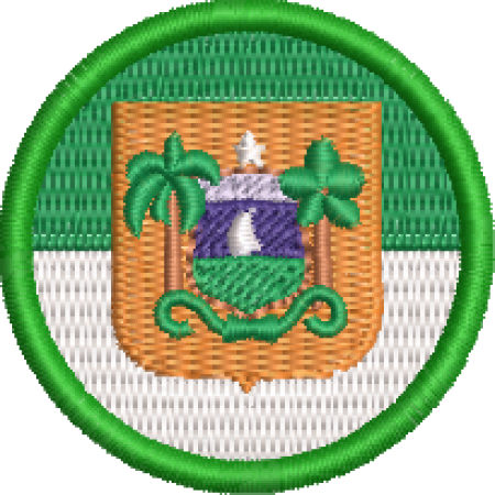 Patch Bordado Bandeira Estado Rio Grande do Norte 4x4 Cód.BRE1